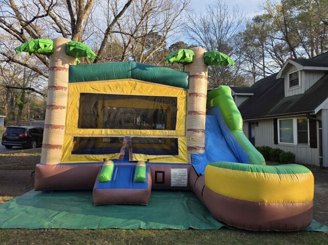 Tropical jungle water combo