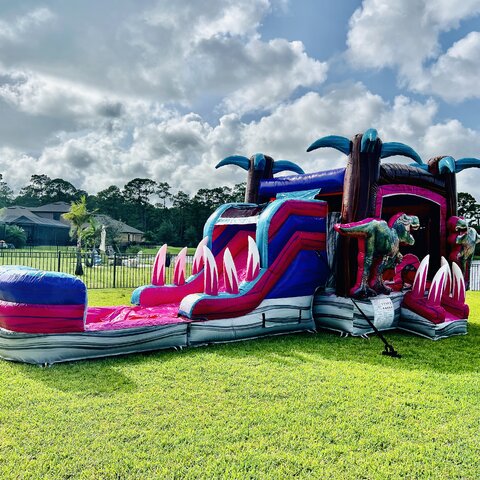 Pink Dino Bounce House and Slide