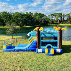 Akua Falls Bounce House and Dual Lane Slide (Wet or Dry)