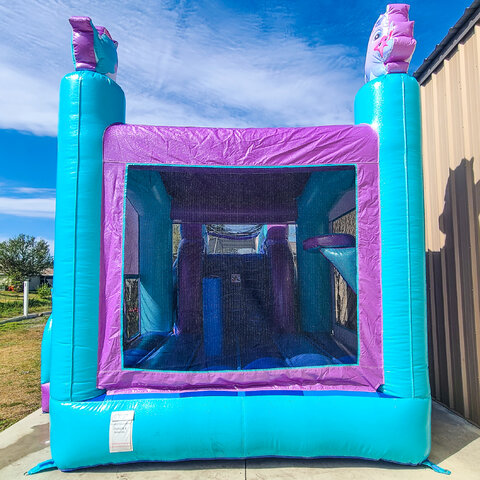 purple and blue bounce house FL