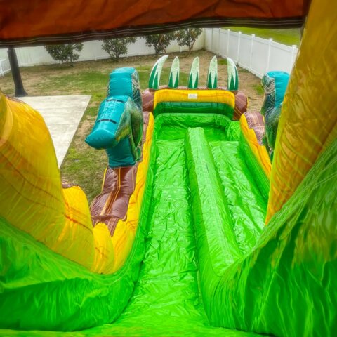 dino rapids slide FL