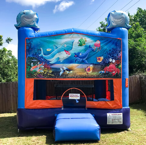 Under the Sea Bouncer