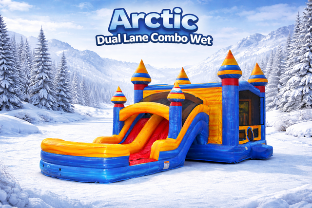Arctic Dual Lane Combo Waterslide