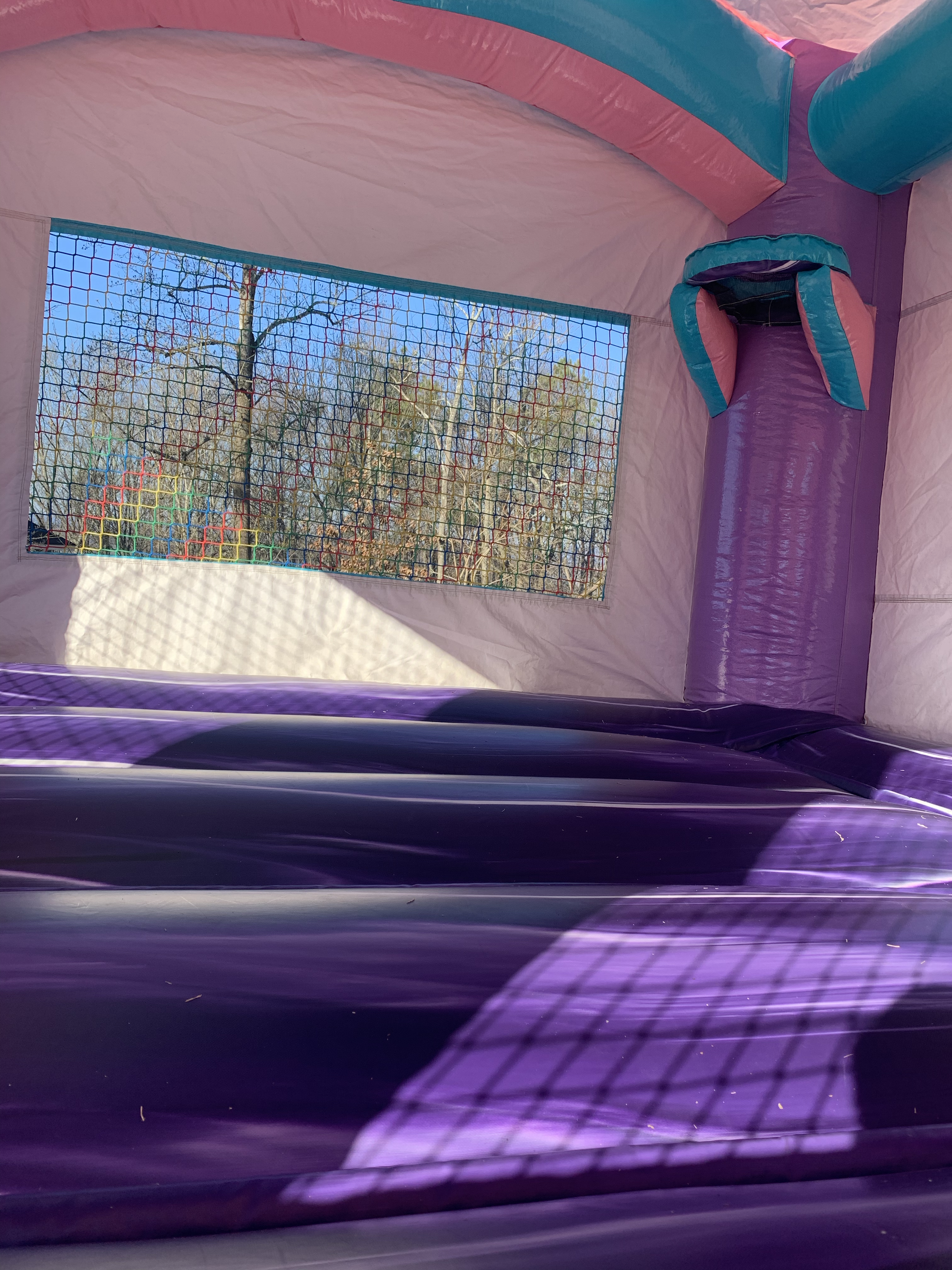 Glitter Bounce House Rental Glitter Bounce House Rental