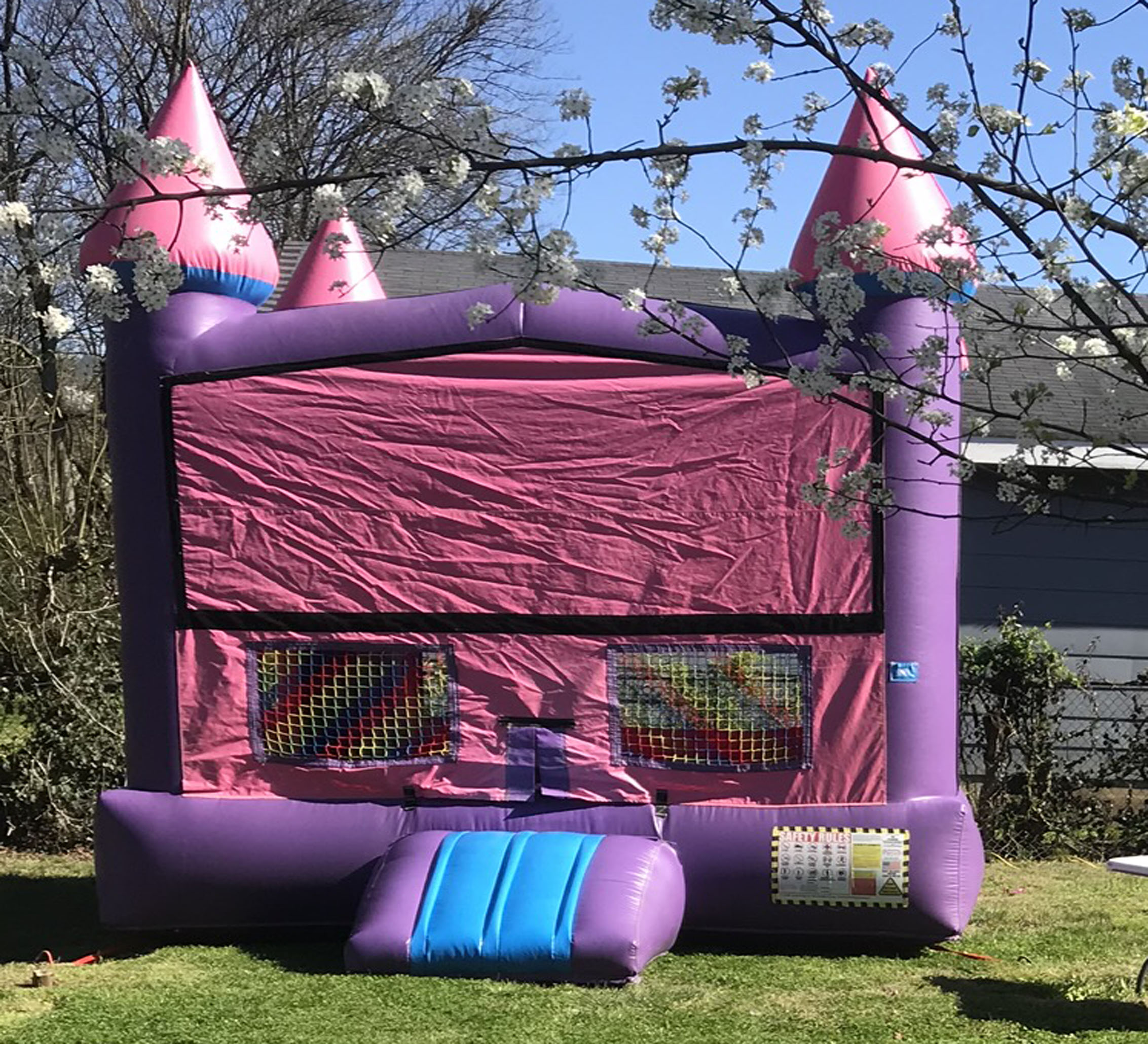 Princess Bounce House Rental Princess Bounce House Rental