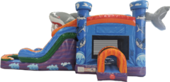 Dual Lane Shark Combo Inflatable Rental Wet