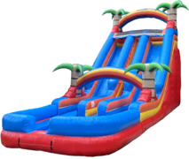 Blazin Dual Lane Slide Wet