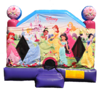 Disneys Princess Castle