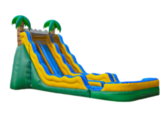 Oasis Slide Wet