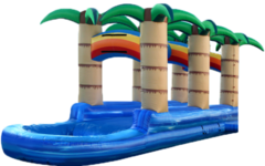Rainbow Slip N Dip