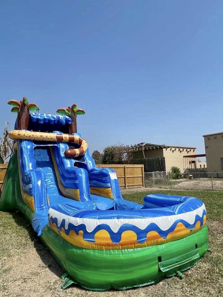 wild water slide rental