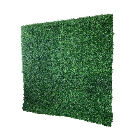 Greenery Wall