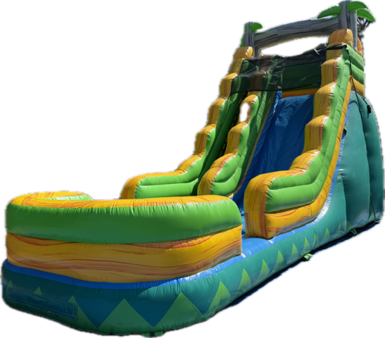 After a while crocodile