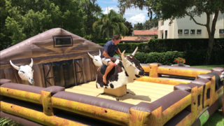 Mechanical bull 