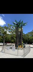 Coconut tree climb 