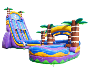 29ft Purple Hurricane Double Lane Curved Slide Wet