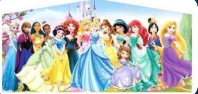 Disney Princess Banner