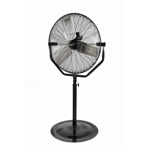 Pedestal Fan