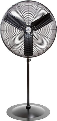 Big Fan Party Rental