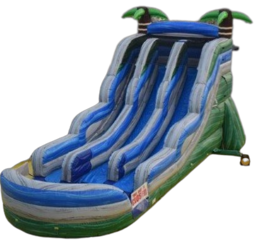 20ft Congo Bay DUAL LANE water slide (2 SLIDES with BIG POOL)