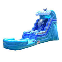 Dolphin Slide with Pool - 15 ft (Wet or Dry)