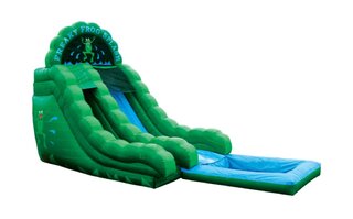 Freaky Frog Slide with Pool	