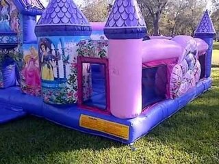 Disney Princess Palace