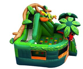 Rainforest Combo	