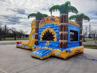 Fire and Ice Bouncy House and Slide