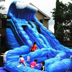 Monster Wave Dual Lane Water Slide