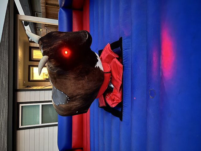 Mechanical Bull