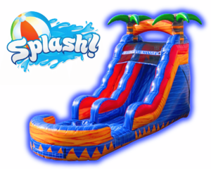 Palms Waterslide 17'