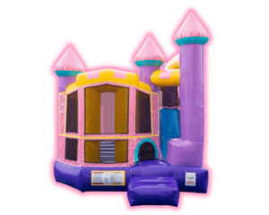 Princess and Slide