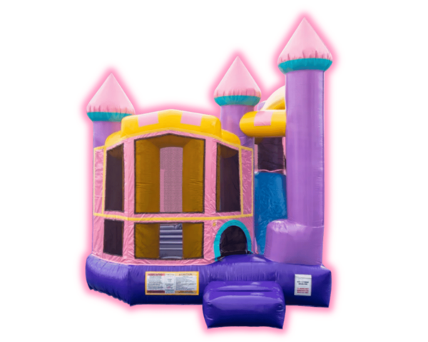 Princess and Slide