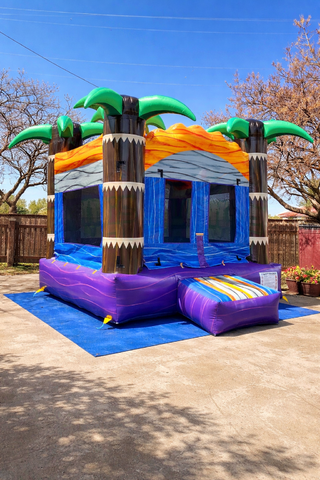 Tropical Palm Tree Bounce House