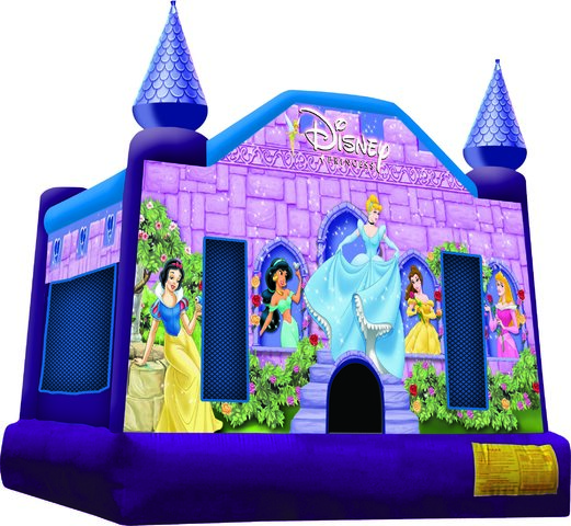 Disney Princess Bounce $215
