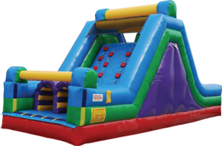 Dual Lane Rock Climbing Wall/slide $225.00 for 2 days