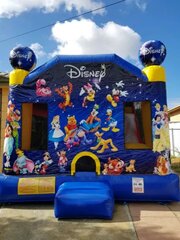 World of Disney Combo $250.00 for 2 days