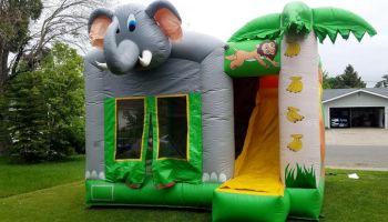 Elephant Bounce House Rental