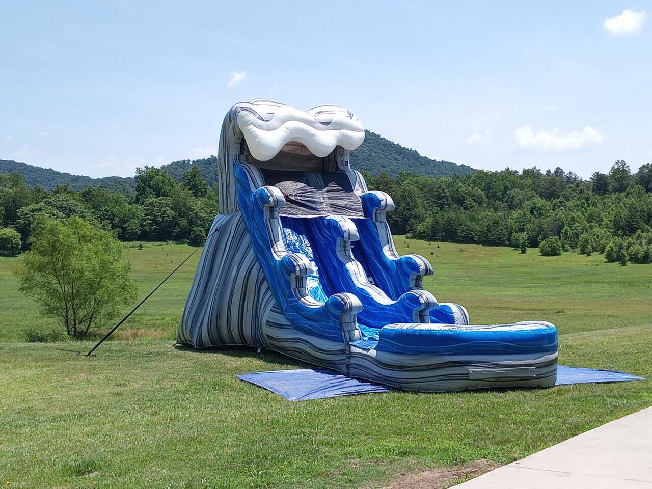 Adult inflatable slide for backyard fun and parties Adult inflatable slide for backyard fun and parties