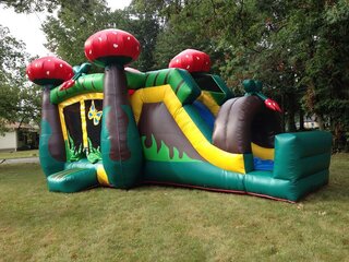 28 ft Srawberry combo dry bounce house with slide