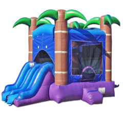 Inflatable # 67 "Purple Forest Dry Dual Slide Combo"