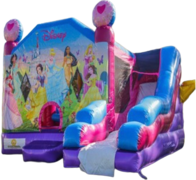 Inflatable # 40 "Disney Princess Bounce & Slide"