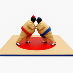 Sumo Wrestling 