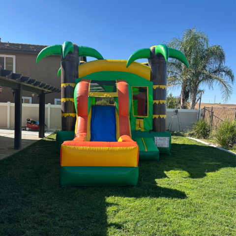 TROPICAL VIBE MINI COMBO - Dry