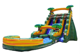 Palms 20ft Dual Lane Water Slide