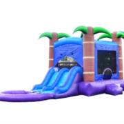 Jungle Double Slide Bounce House with Pool