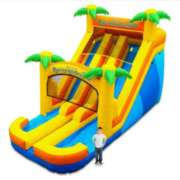 18 foot Double Slide Palm Trees (Dry)