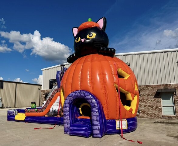 Pumpkin Black Cat Combo