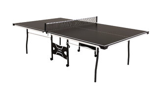 Ping Pong Table